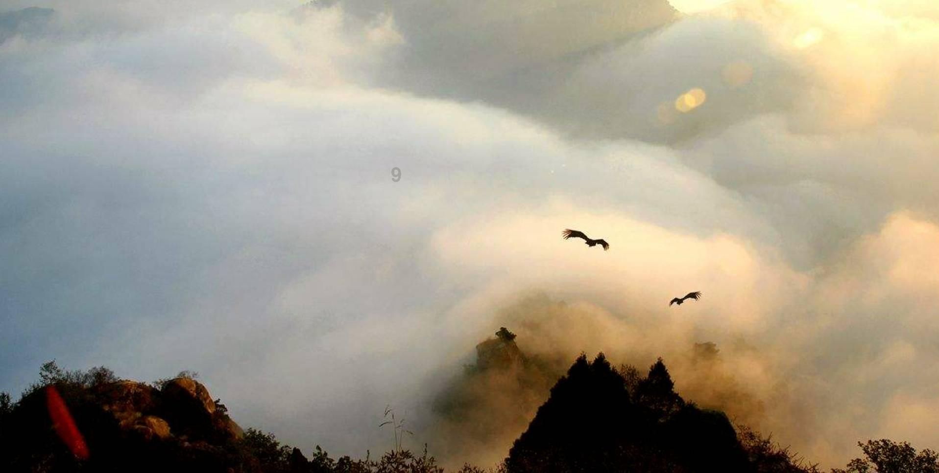 空中抛枪